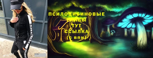 меф Медвежьегорск
