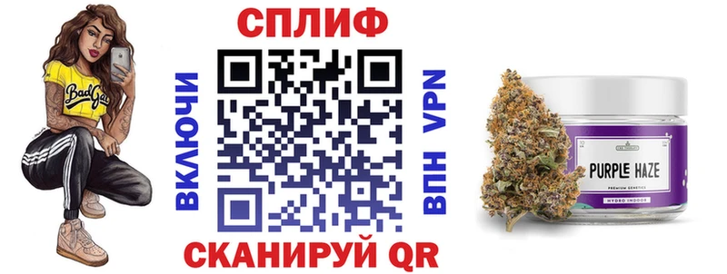 Конопля конопля  Шумиха 